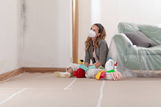 Reliable Mold Inspection And Testing contractor in Naperville, IL by Car Mold Remediation